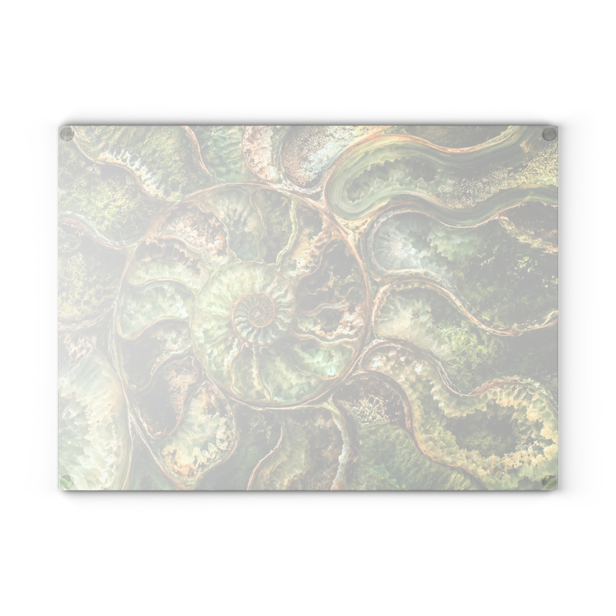 Ammonite Fossil Glass Serving Board